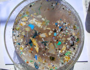 Sample of plastic from North Pacific Garbage Patch - Ocean Crusaders photo copyright Ian Thomson taken at  and featuring the  class