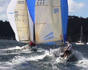 Melges 24 Winter Regatta 
 photo copyright Tracey Walters taken at  and featuring the  class