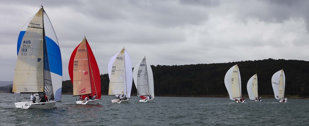 2012 One Sail Melges 24 NSW State Titles photo copyright Ash Stephens taken at  and featuring the  class