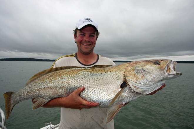 Ron Smith displays his prized catch, a Western Port mulloway caught on a small bait. © Jarrod Day