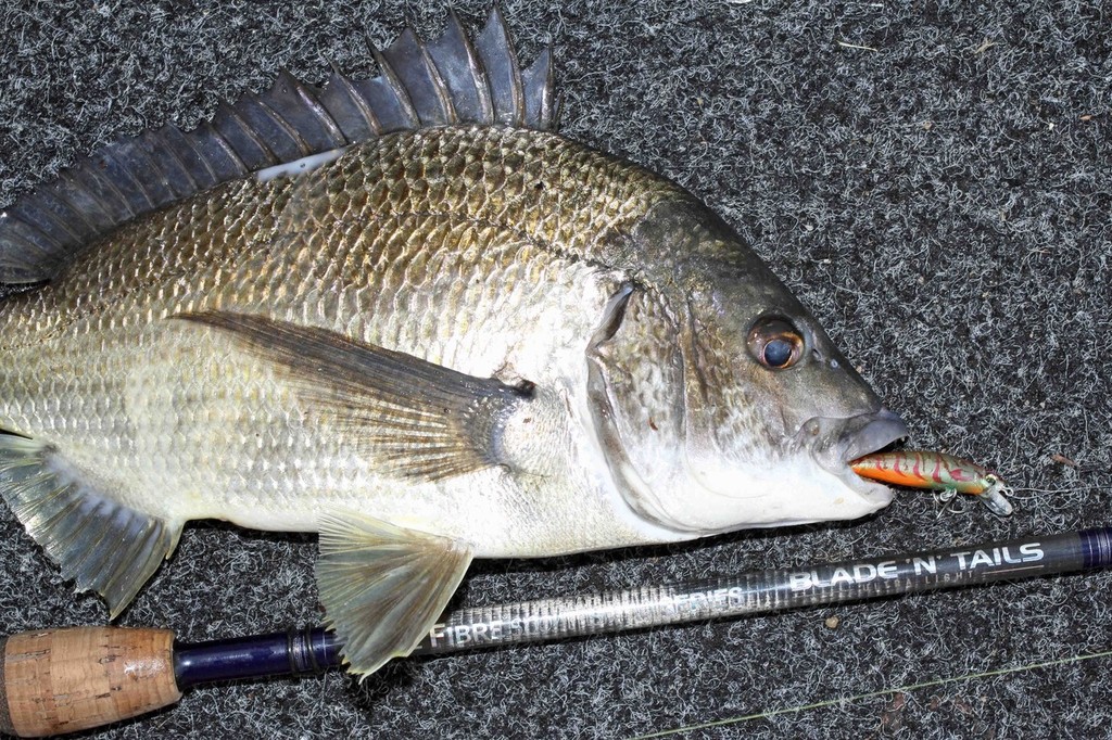 Light tackle and small lures are the perfect combination for bream. © Jarrod Day
