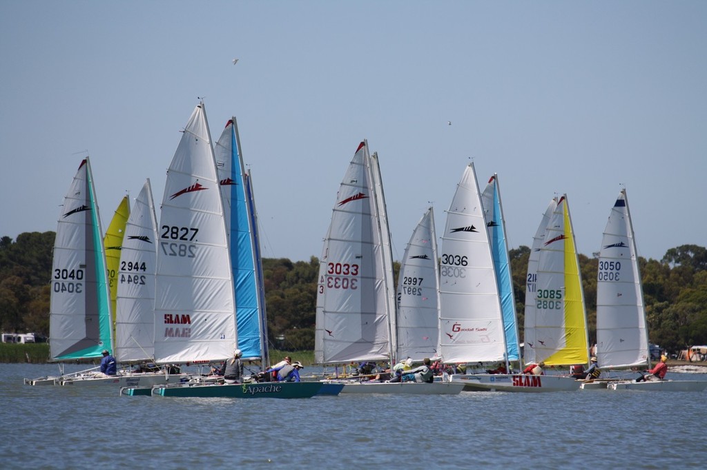 43rd Paper Tiger Catamaran Championship © Maeve Southall