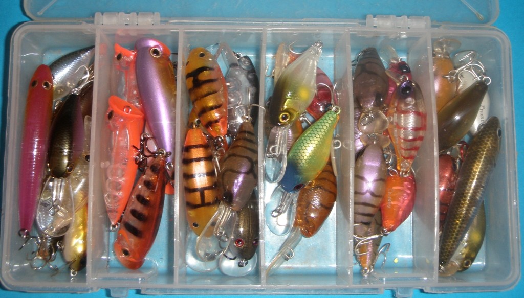 Which one to pick. They all catch fish. You just need a variety of depths the lure will dive too photo copyright Gary Brown taken at  and featuring the  class