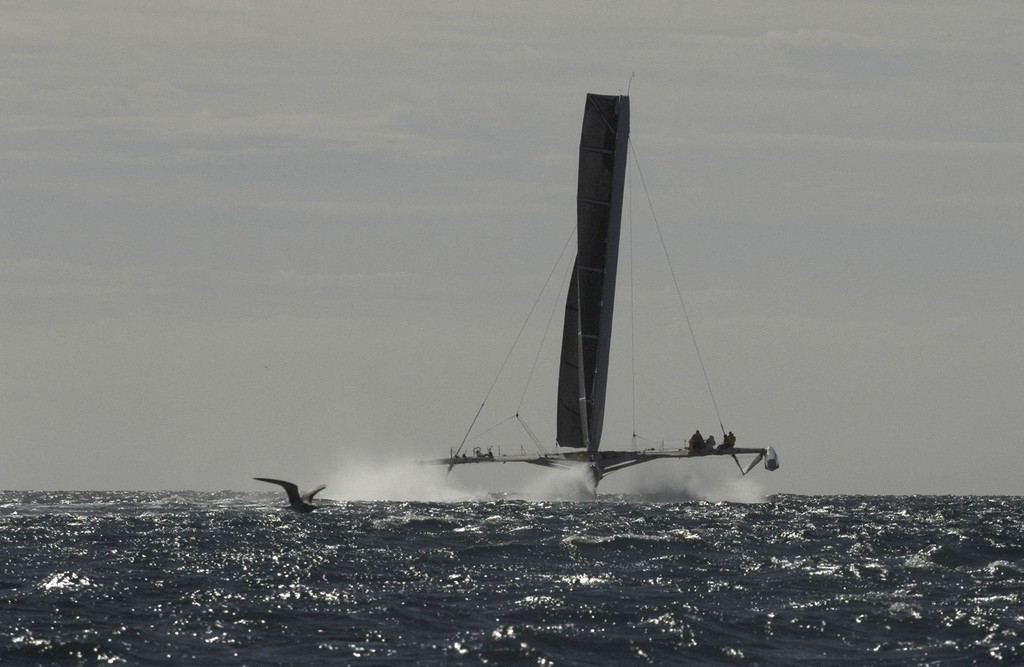  A la veille du record, apres 9 mois de preparation de la nouvelle configuration, l&rsquo;Hydroptere d&rsquo;Alain Thebault etait techniquement pret pour battre le record mythique des 50 noeuds &rsquo;le mur du vent&rsquo;. Les nombreuses modifications apportees a la voilure carbone et aux foils par l&rsquo;Ecole Polytechnique Federale de Lausanne, ont permi a l&rsquo;hydroptere d&rsquo;atteindre un coeficient multiplicateur de vent superieur a 2, demontrant la pertinence de cette configuration a ceux qui doutaient apres 15 ans d&rsquo;essais photo copyright Francis Demange www.hydroptere.com taken at  and featuring the  class