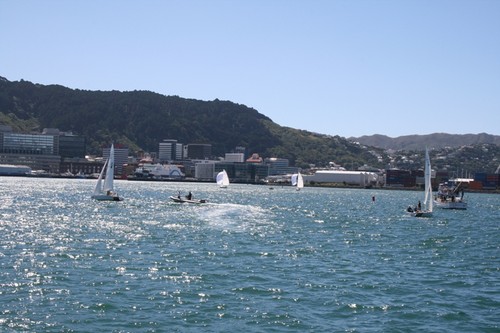 Champagne sailing on Wellington harbour - 2013 CentrePort International Youth Match Racing Championship © RPNYC Events