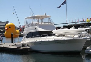 8 - F14 photo copyright Force Boats http://www.forceboats.com taken at  and featuring the  class