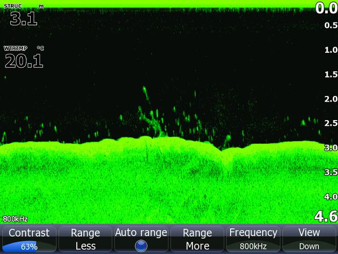 Down scan can also allow angler to find fish in the deep. © Jarrod Day