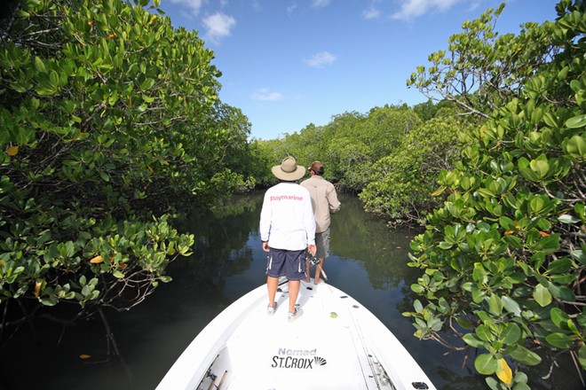 On the night tide, navigating through the mangroves can lead to some memorable fishing. © Jarrod Day