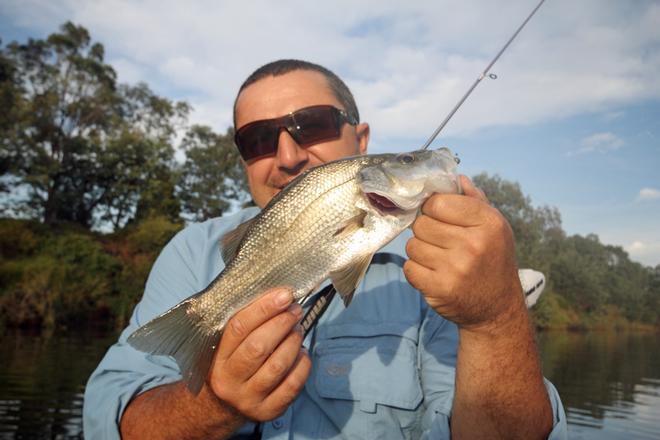 Frank Milito from East Gippsland Charters with a nice perch. © Jarrod Day