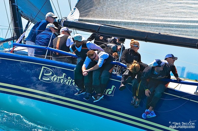 The crew of Barking Mad hangs hard over the rail during an upwind leg.  - Miami Beach Invitational  © William Wagner