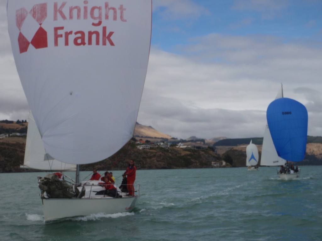 Flying the sponsors ``flag`` - Knight Frank Young 88 South Island Champs photo copyright Craig Edwards taken at  and featuring the  class