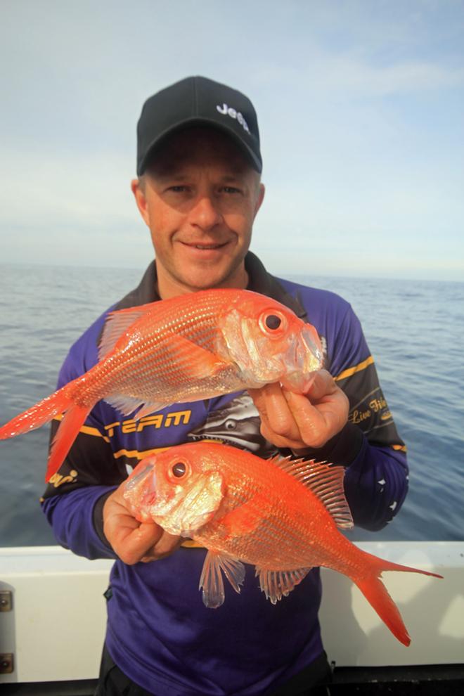 Some areas around Victoria, anglers can catch the very tasty nannygai. © Jarrod Day