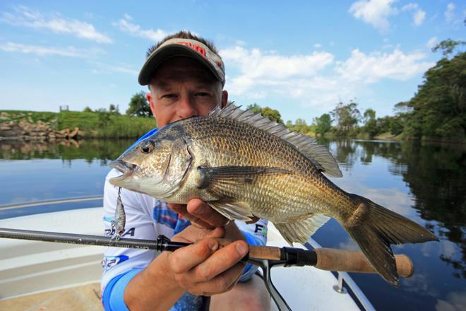 Big bream are a nice by catch. © Jarrod Day