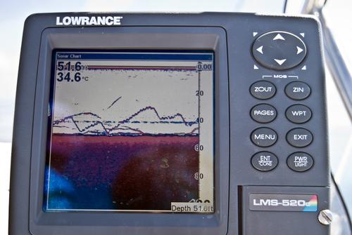 An example of yoyo jigging as seen by a depth sounder.   © Lee Brake
