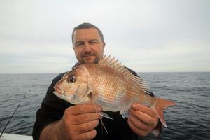 Year round, pinkie snapper are a viable catch, especially offshore from Lakes Entrance. photo copyright Jarrod Day taken at  and featuring the  class