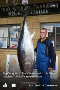 Guru, Mark Watson with a 127.8kg fin photo copyright Carl Hyland taken at  and featuring the  class