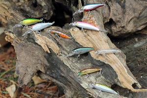 Ensure you have a good lure selection when targeting perch. photo copyright Jarrod Day taken at  and featuring the  class