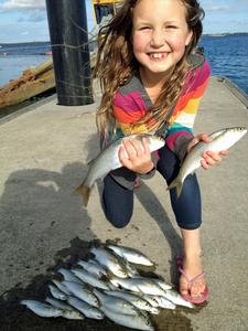 Asher Blake displays a solid catch of Mullet caught from the Stony Point Pier. photo copyright Jarrod Day taken at  and featuring the  class