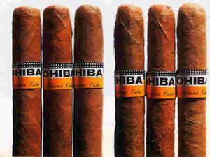 CUBAN COHIBA but fake photo copyright  SW taken at  and featuring the  class