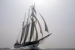Tall Ship Oosterschelde photo copyright  SW taken at  and featuring the  class