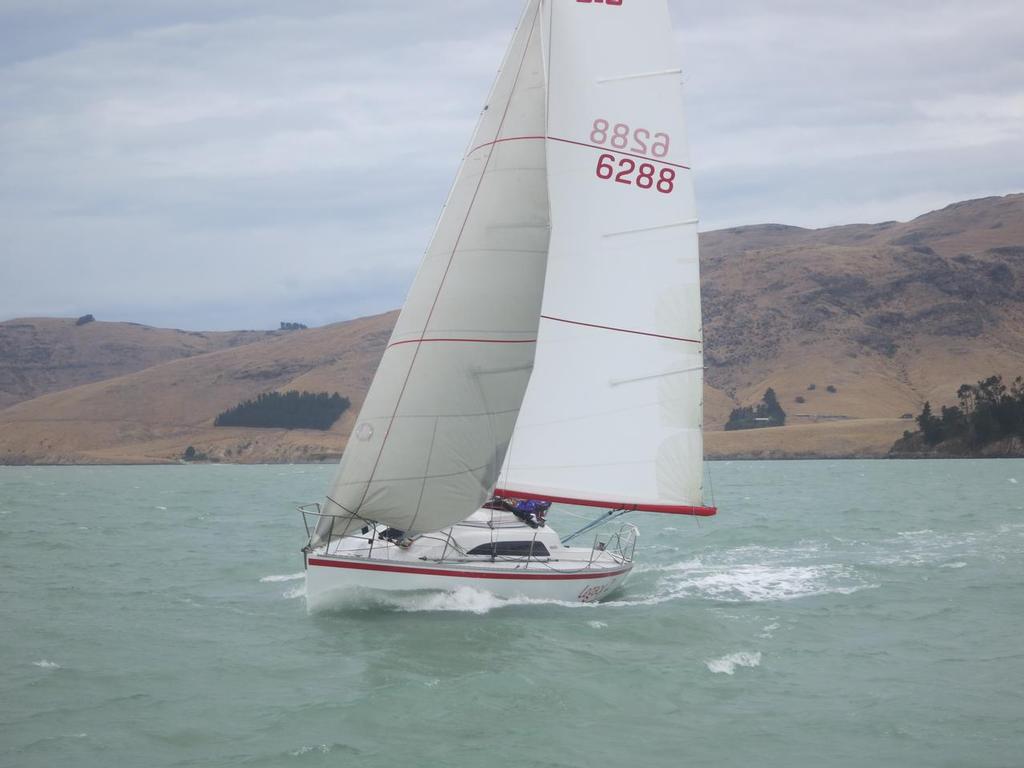  - 2015 Knight Frank Young 88 South Island Championships © Young 88 Media