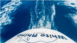 Swan 56 White Rhino - Rolex Swan Cup Caribbean 2015 photo copyright Nautor's Swan/Carlo Borlenghi taken at  and featuring the  class
