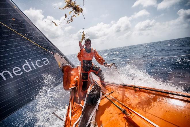 Leg six to Newport onboard Team Alvimedica. Day 10. True tradewind sailing in 20-25 knots and warm tropical water has everyone smiling,despite occupying the rear of the fleet. Nick Dana hucks a clump of sargasso weed from the garden of it on the bow. - Volvo Ocean Race 2015 ©  Amory Ross / Team Alvimedica