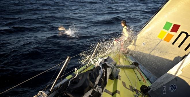 Leg 5 to Itajai onboard Team Brunel. Day 17. Dolphins playing at the bow of the boat. - Volvo Ocean Race 2015 © Stefan Coppers/Team Brunel
