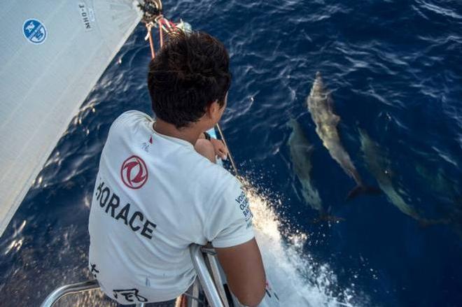 Onboard Dongfeng Race Team – Jin Hao Chen, aka Horace, enjoying the dolphins playing with the bow of the boat - Volvo Ocean Race 2015 ©  Sam Greenfield / Volvo Ocean Race