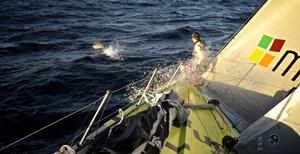 Leg 5 to Itajai onboard Team Brunel. Day 17. Dolphins playing at the bow of the boat. - Volvo Ocean Race 2015 photo copyright Stefan Coppers/Team Brunel taken at  and featuring the  class