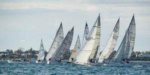 Brighton Ladies Skippers Series start photo copyright  Steb Fisher taken at  and featuring the  class