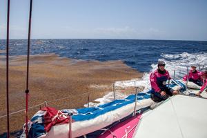 Onboard Team SCA - Volvo Ocean Race 2015 photo copyright Corinna Halloran / Team SCA taken at  and featuring the  class