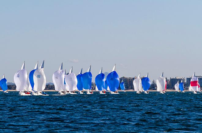 Sunny sailing for the fleet - Marinepool Etchells Australasian Winter Championship 2015 © Teri Dodds http://www.teridodds.com