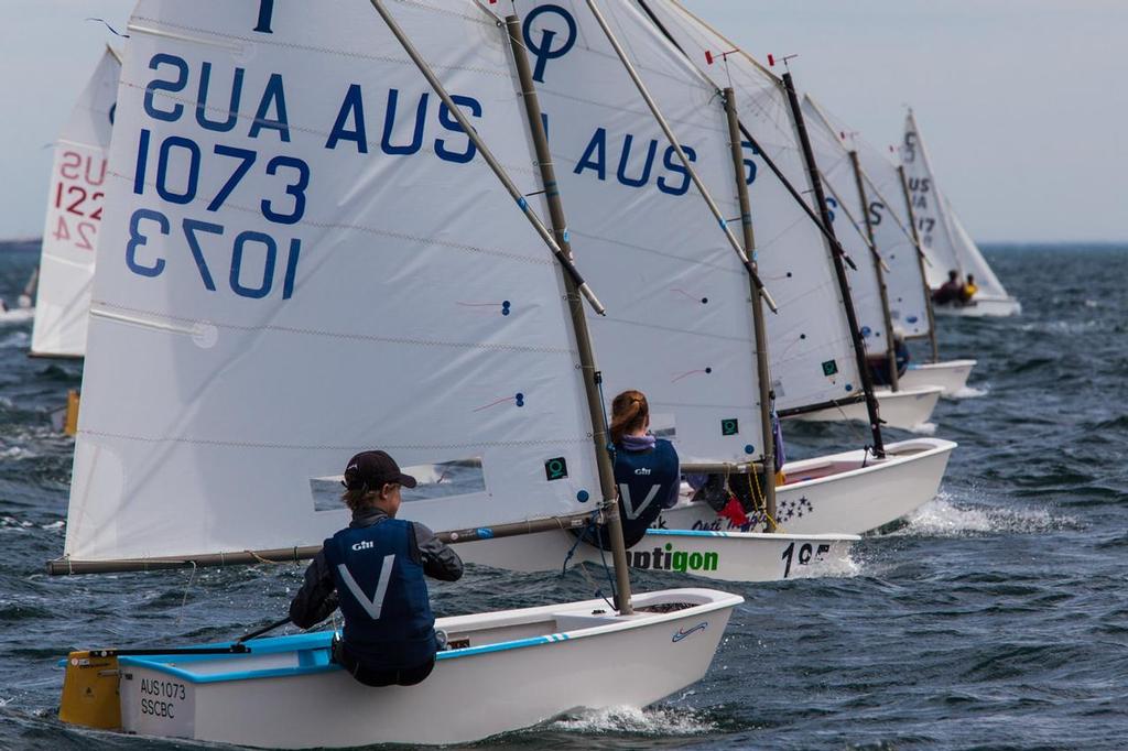 Optimists racing at Sail Sandy 2015 photo copyright  Bruno Cocozza taken at  and featuring the  class