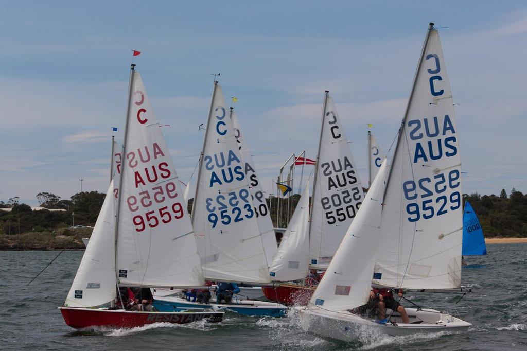 International Cadets start line action at Sail Sandy photo copyright  Bruno Cocozza taken at  and featuring the  class