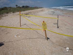 A protected sea turtle nest on a Florida beach photo copyright Sea Shepherd taken at  and featuring the  class