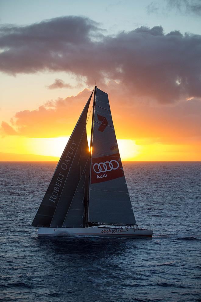 With every possible sail set, Wild Oats XI heads into the Hawaiian sunset ©  Sharon Green / Ultimate Sailing