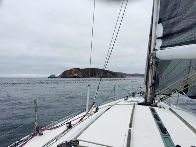 Combining assets for better sailing events - 2015 Drakes Bay Race © Sarah Cherif Gambin and Mark Dowdy