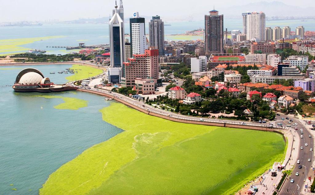 An outbreak of blue-green algae is seen on the coastline of Qingdao, the host city for sailing events at the 2008 Olympic Games, in eastern China's Shandong province Tuesday June 24, 2008. The Qingdao government has organized 400 boats and 3000 people to help remove the algae after Olympic organizers ordered a cleanup. Experts say the algae is a result of climate change, and recent heavy rains in southern China, according to the Xinhua news agency.  (AP Photo/EyePress) ** CHINA OUT ** photo copyright SW taken at  and featuring the  class