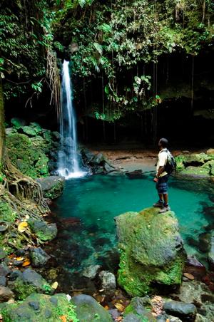 Champagne Reef, one of Dominica's ``signature`` dive sites; beautiful Emerald Pool - 2015 North American Rally to Caribbean photo copyright Discover Dominica Authority taken at  and featuring the  class