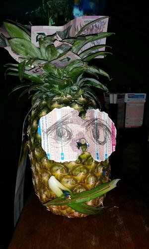 Jeffrey the pineapple from Spirit of Mateship photo copyright Rusty McCart taken at  and featuring the  class