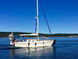 Blue Rose’s big kelp anchor salad. Note PCCR Commodore Ken Christie hard at work in the bow hammock! - 2015 Peterson Cup Cruising Rally photo copyright Bluewater Cruising Association taken at  and featuring the  class