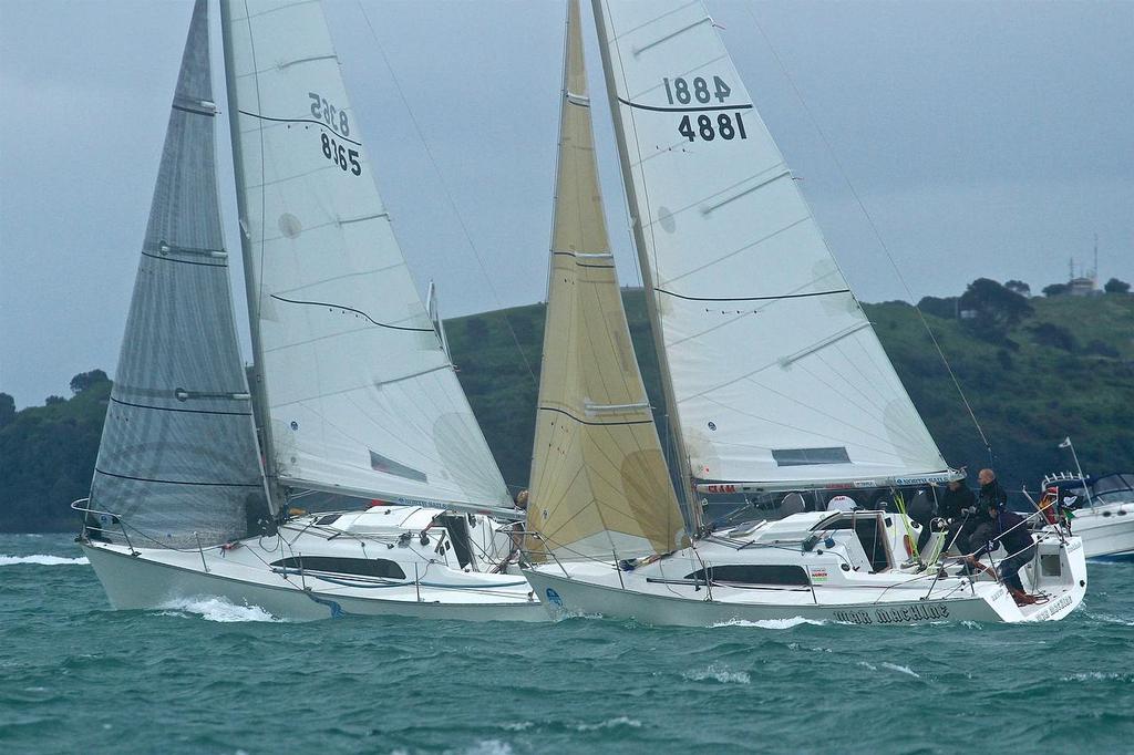 Young 88 - Owner Driver Championships - photo © Richard Gladwell <a target=