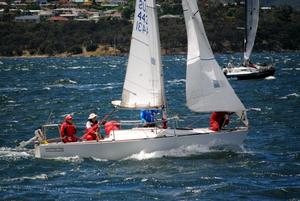 Greg Rowlings J24 about to start in 25-30 WNW breeze on the Derwent photo copyright  Peter Campbell taken at  and featuring the  class