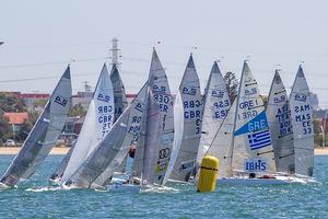 Day 4 - 2015 Para World Sailing Championships photo copyright Teri Dodds http://www.teridodds.com taken at  and featuring the  class