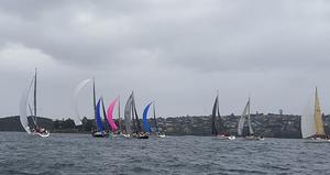 Spinnakers added colour to an otherwise dull morning yesterday photo copyright CYCA Staff taken at  and featuring the  class