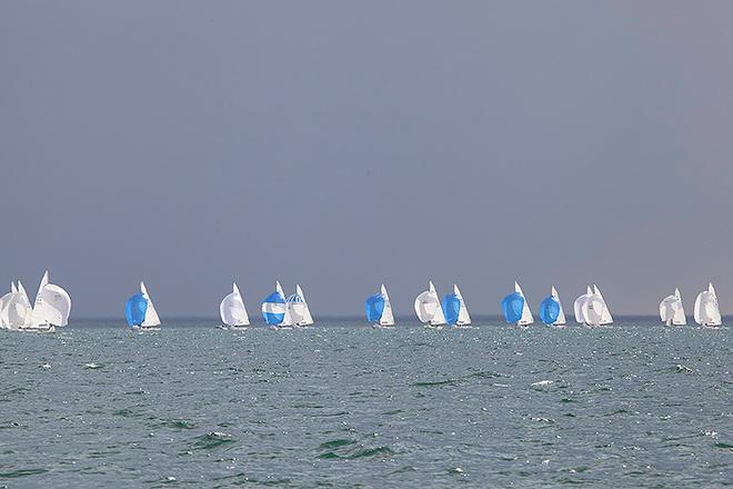 White and Blue spinnakers contrasted by an impending sky… - 2016 Etchells Australian Championship ©  John Curnow