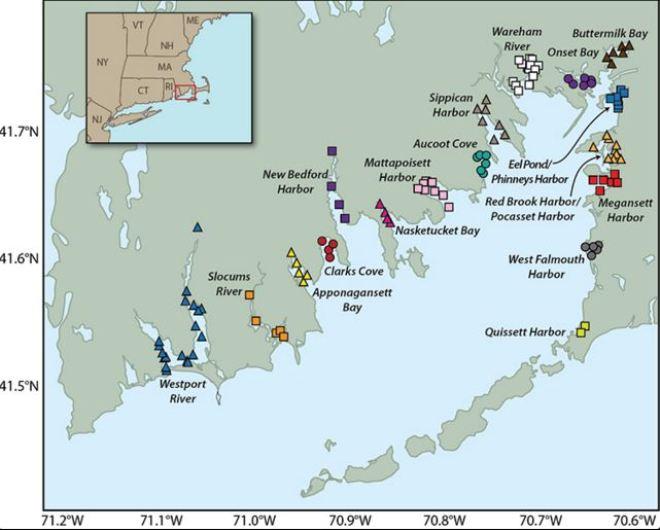 Researchers looked at which locations and sites had the most consistent data over the 22-year period (from 1992 to 2012), and then divided those into 17 distinct embayments. Above, each embayment is shown in a different color with the symbols representing collection sites within the embayments © Jack Cook / WHOI http://www.whoi.edu/
