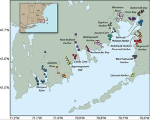 Researchers looked at which locations and sites had the most consistent data over the 22-year period (from 1992 to 2012), and then divided those into 17 distinct embayments. Above, each embayment is shown in a different color with the symbols representing collection sites within the embayments photo copyright Jack Cook / WHOI http://www.whoi.edu/ taken at  and featuring the  class