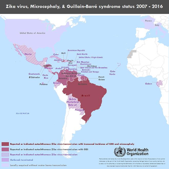 Combined Status Zika GBS MC Americas 2016 © WHO